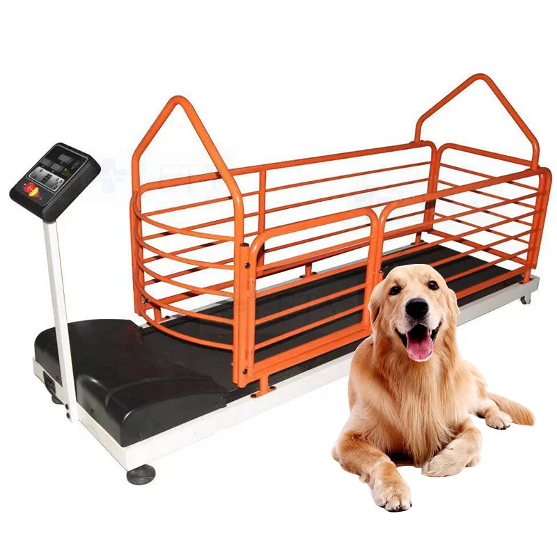 Pet Treadmill for Dogs and Cats Electric Animal Treadmill Dog Training Treadmill