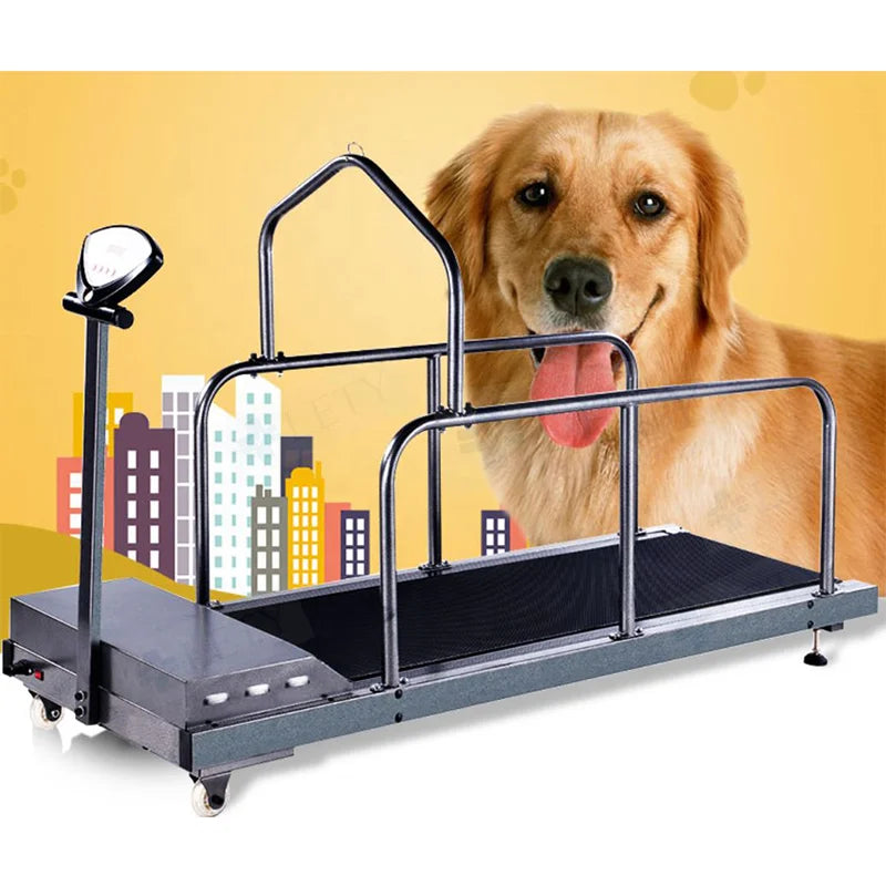 Pet Treadmill for Dogs and Cats Electric Animal Treadmill Dog Training Treadmill