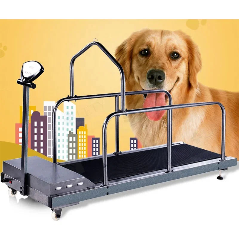 Pet Treadmill for Dogs and Cats Electric Animal Treadmill Dog Training Treadmill