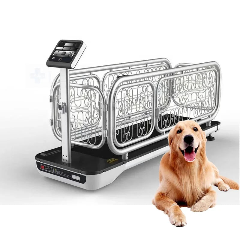 Pet Treadmill for Dogs and Cats Electric Animal Treadmill Dog Training Treadmill