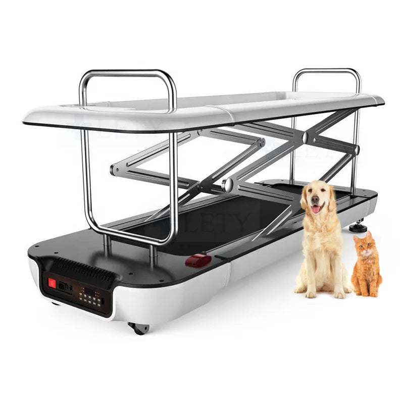 Pet Treadmill for Dogs and Cats Electric Animal Treadmill Dog Training Treadmill