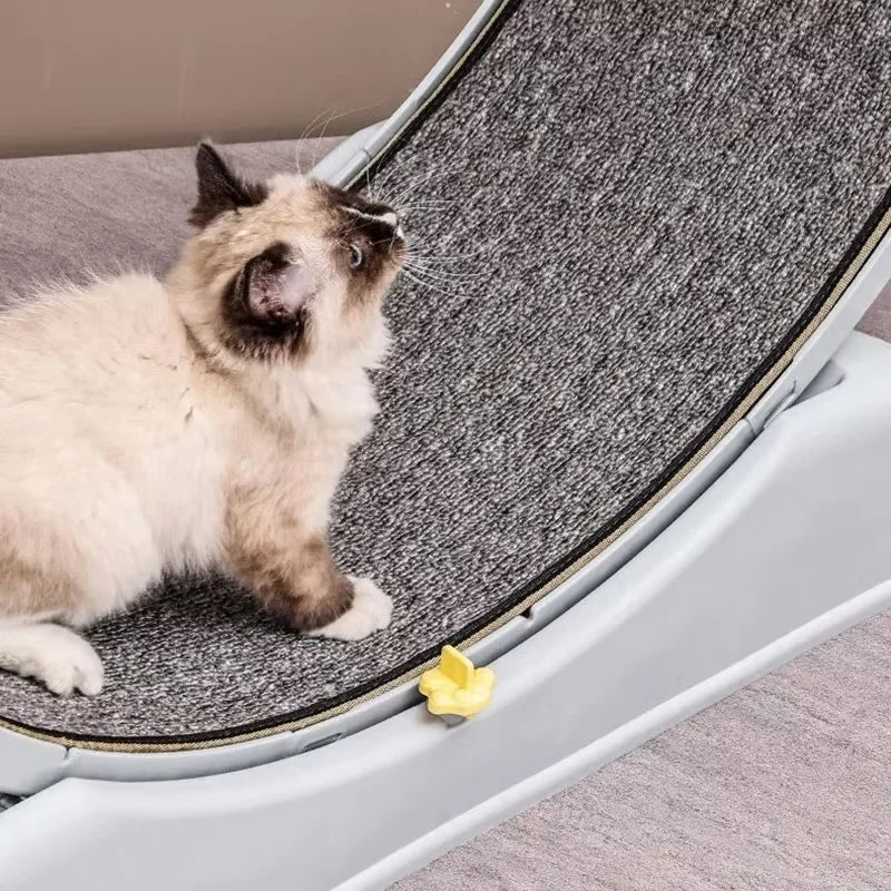 Cat Treadmill Silent Pet Fitness Roller Anti Pinch Foot Exercise Running Wheel With Detachable Carpet Cat Climbing Frame Pet Toy