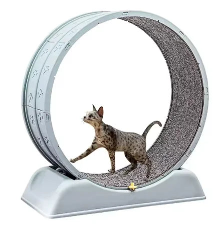 Cat Treadmill Silent Pet Fitness Roller Anti Pinch Foot Exercise Running Wheel With Detachable Carpet Cat Climbing Frame Pet Toy