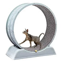 Cat Treadmill Silent Pet Fitness Roller Anti Pinch Foot Exercise Running Wheel With Detachable Carpet Cat Climbing Frame Pet Toy