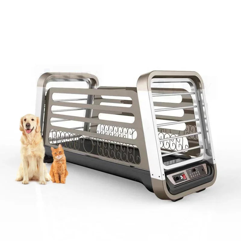 Pet Treadmill for Dogs and Cats Electric Animal Treadmill Dog Training Treadmill