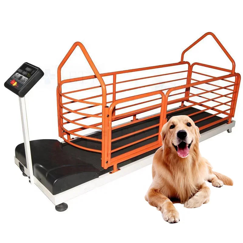 Pet Treadmill for Dogs and Cats Electric Animal Treadmill Dog Training Treadmill